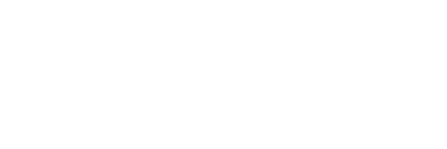 Arvio - Professional Web Development Agency Logo